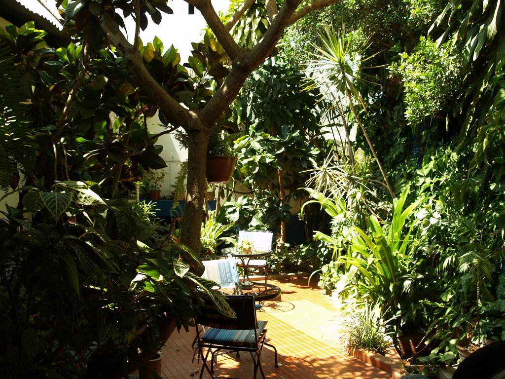 Palmeiras Guest House Maputo Eksteriør billede